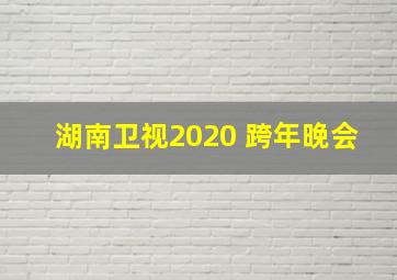 湖南卫视2020 跨年晚会